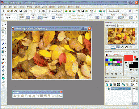 PAINTSHOP PRO